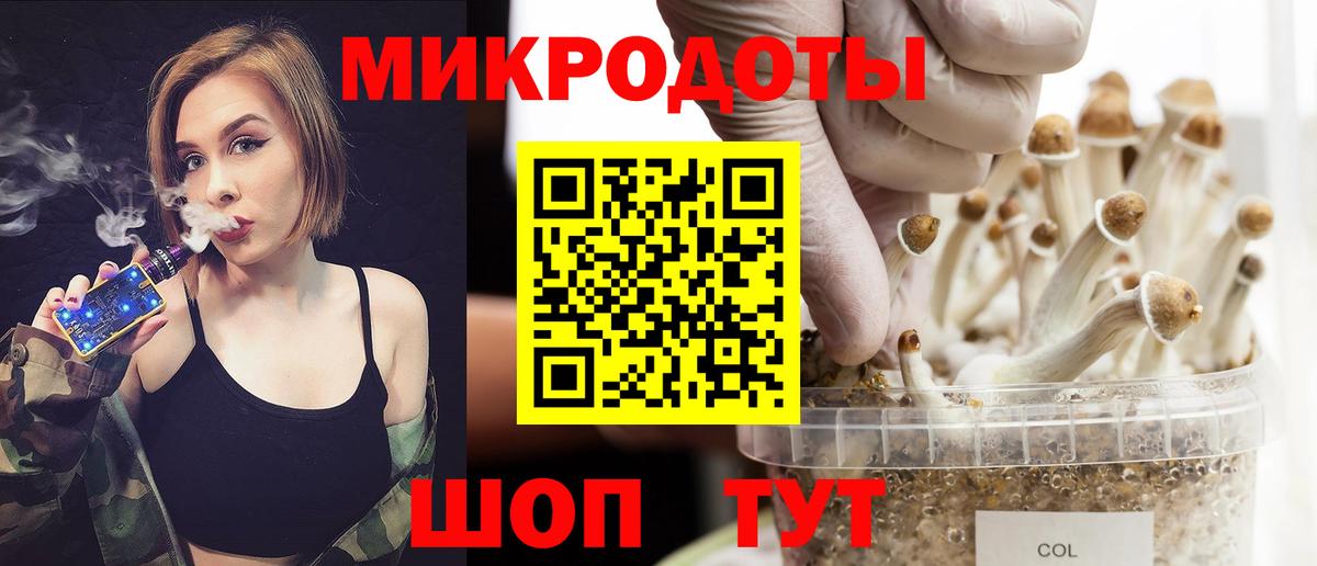 Псилоцибиновые грибы Psilocybe Канск